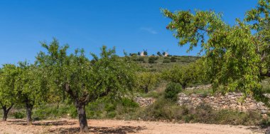 Tepedeki tipik eski İspanyol yel değirmenleri, İspanya 'nın yeşil manzarasıyla çevrilidir..
