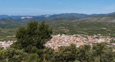 Ufuktaki ağaçların ve dağların havadan görünüşü. Akdeniz kıyısının tipik kırsal kesimi. Katalonya, İspanya 'da sağlıklı meyve yetiştirme.