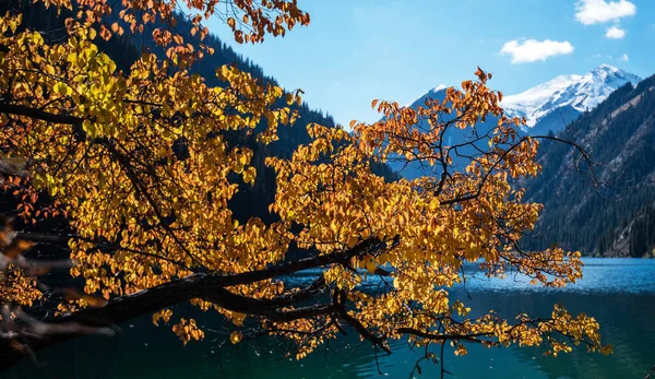 Paesaggio Autunnale Lago Montagna Con Foglie Gialle Primo Piano Bel — Foto Stock