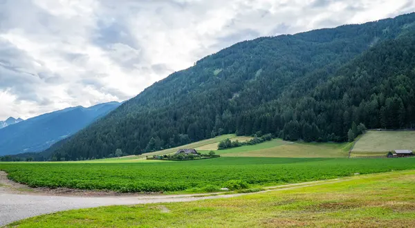 Идиллический Весенний Красочный Сельский Пейзаж Швейцарии Фермерские Дома Лугом Сельским — стоковое фото