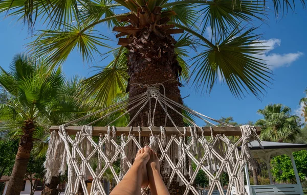 Relaxing in a hammock in a summer tropical garden.