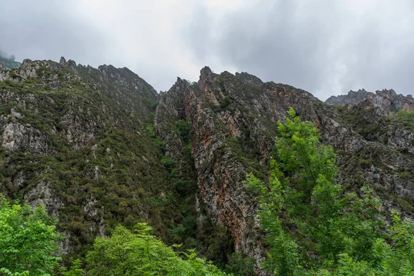 stock image Rocky mountains in Picos de Europa National Park on a rainy overcast day, with low clouds and vibrant spring foliage and grass. Asturias, Spain.