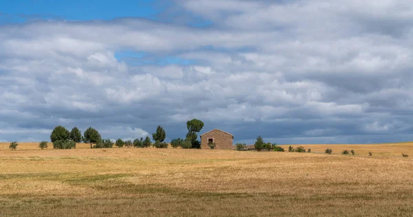 Güzel manzara panoramik buğday tarlası, sarı ve yeşil tepeler. Çiftlik evi, kırsal kesim, kayan tepeler ve buğday tarlaları Toskana bölgesi, İtalya, Avrupa.