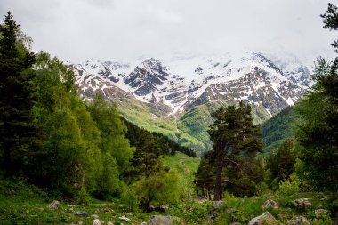 Güzel dağlık arazi. Dağlarda ilkbahar manzarası. Ağaçlar ve mavi gökyüzü ile kaplı tepeler. Dağ yolu orman yolu boyunca yürüyor..