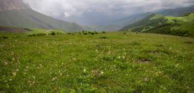 Yaz dağı manzarası. Gürcistan, Kafkasya 'daki vadi manzarası ve yemyeşil otlaklar inanılmaz. Yüksek sıradağlarla çevrili. Baharda bulutlu ve yağmurlu bir gün, alçak fırtına bulutları.