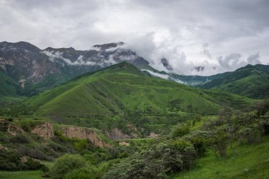 Yaz dağı manzarası. Gürcistan, Kafkasya 'daki vadi manzarası ve yemyeşil otlaklar inanılmaz. Yüksek sıradağlarla çevrili. Baharda bulutlu ve yağmurlu bir gün, alçak fırtına bulutları.