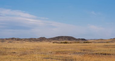 Savana, uzaktaki kuru sarı çimenler ve tepelerle kaplıydı. Mavi gökyüzünde beyaz bulutlar. Namibya 'da çöl. Sıcak bir gün. Afrika 'ya seyahat.