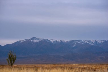 Landscape of the Tibetan Plateau. Yellow wild grass against the backdrop of a mountain range. An amazing view of a desolate plain with dry grass in the foreground and mountains in the distance.