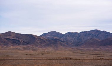 Landscape of the Tibetan Plateau. Yellow wild grass against the backdrop of a mountain range. An amazing view of a desolate plain with dry grass in the foreground and mountains in the distance.