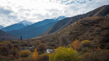 Köy yolu olan bir dağ vadisinde renkli bir sonbahar manzarası. Sisli vadinin güzel manzarası. Sonbahar. Yeşil köknar ve sarı ağaçlı dağ manzarası.