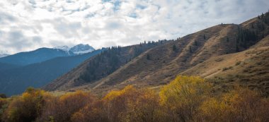 Köy yolu olan bir dağ vadisinde renkli bir sonbahar manzarası. Sisli vadinin güzel manzarası. Sonbahar. Yeşil köknar ve sarı ağaçlı dağ manzarası.