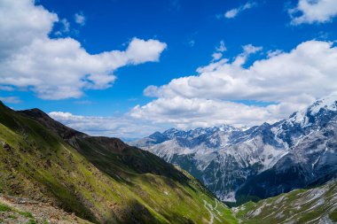 İtalya 'nın en yüksek otomobil geçidi Stelvio Geçidi' nden, İtalya 'nın Trentino-Alto Adige ve Lombardy arasında yer alır. Ekoloji ve fotoğraf turizmi kavramı.