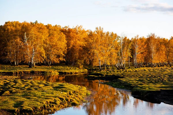 Piękne Leśne Jezioro Jesienią Jesienny Leśny Krajobraz Jeziora Jesienny Widok — Zdjęcie stockowe