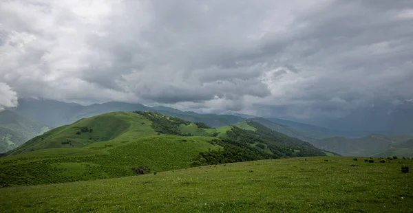 Summer Mountain Landscape Amazing View Valley Lush Green Pastures Caucasus — 图库照片