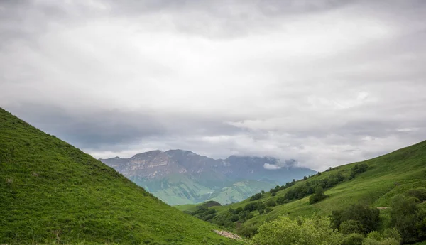 Letni Krajobraz Górski Niesamowity Widok Dolinę Bujne Zielone Pastwiska Kaukazie — Zdjęcie stockowe
