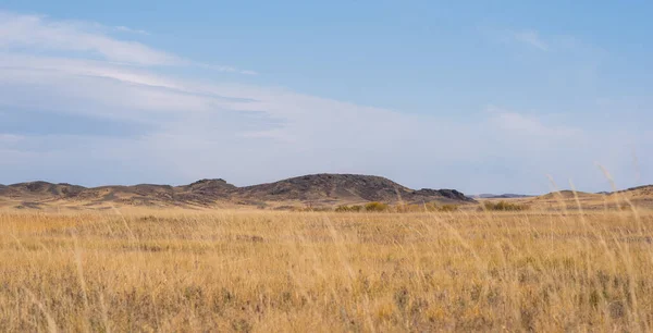 Savanna Pokryta Suchą Żółtą Trawą Wzgórzami Oddali Białe Chmury Niebieskim — Zdjęcie stockowe