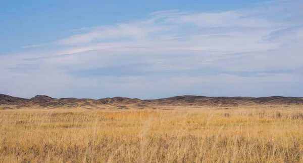 Savanna Pokryta Suchą Żółtą Trawą Wzgórzami Oddali Białe Chmury Niebieskim — Zdjęcie stockowe