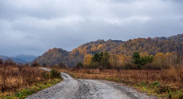 Country Road Autumn Hills Colorful Deciduous Forest Cloudy Sky Rainy — Stock Photo, Image