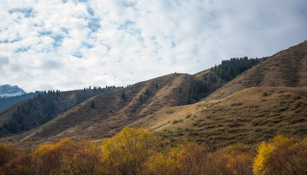 Ένα Πολύχρωμο Φθινοπωρινό Τοπίο Μια Ορεινή Κοιλάδα Επαρχιακό Δρόμο Όμορφη — Φωτογραφία Αρχείου