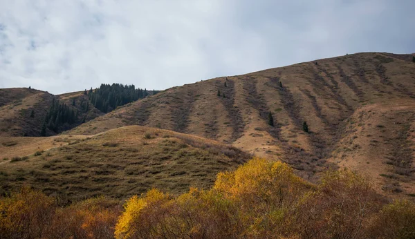 Eine Farbenfrohe Herbstlandschaft Einem Gebirgstal Mit Einer Landstraße Schöne Aussicht — Stockfoto