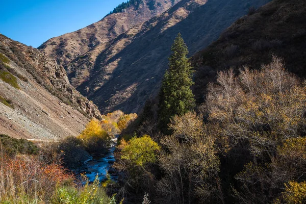 Φθινοπωρινό Τοπίο Στα Βουνά Ένα Μικρό Ποτάμι — Φωτογραφία Αρχείου