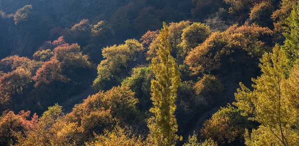 Bela Paisagem Outono Com Árvores Folhagem Colorida Estação Belas Folhas — Fotografia de Stock