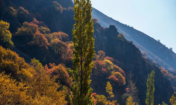 Όμορφο Φθινοπωρινό Τοπίο Δέντρα Πολύχρωμο Φύλλωμα Εποχή Των Όμορφων Φθινοπωρινών — Φωτογραφία Αρχείου