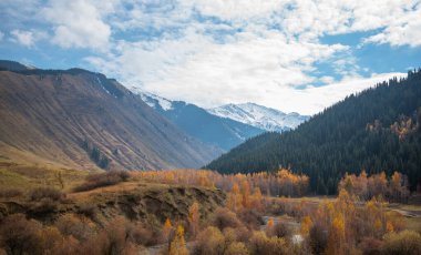 Dağlarda güzel bir sonbahar öğleden sonra. Sonbahar renklerinde yamacın kenarındaki ağaçlar. Bulutlu havada güzel bir kırsal.