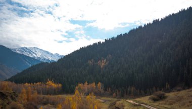 Dağlarda güzel bir sonbahar öğleden sonra. Sonbahar renklerinde yamacın kenarındaki ağaçlar. Bulutlu havada güzel bir kırsal.