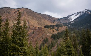 Dağlarda güzel bir sonbahar öğleden sonra. Sonbahar renklerinde yamacın kenarındaki ağaçlar. Bulutlu havada güzel bir kırsal.