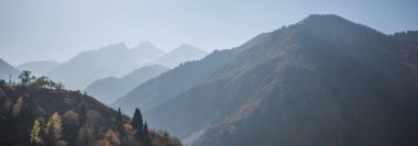 Uzakta sisli dağlarla sonbahar manzarası. Sıcak, güneşli renklerde sarı ağaçlar. Mevsimlik sonbahar manzarası.