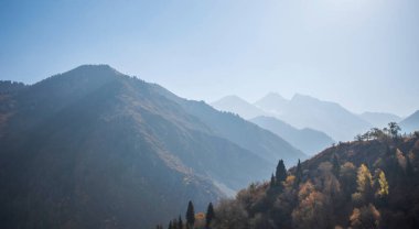 Uzakta sisli dağlarla sonbahar manzarası. Sıcak, güneşli renklerde sarı ağaçlar. Mevsimlik sonbahar manzarası.