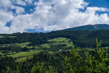 İtalyan Alpleri 'ndeki Sarca Vadisi' nde bahçeler. Trentino Alto Adige, İtalya, Avrupa. Idyllic üzüm bağları, meyve bahçeleri, tarım arazisi.