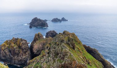 Galiçya, İspanya ve Avrupa sahillerindeki Cabo Ortegal deniz fenerinin yakınındaki Atlantik kıyısına bakın. Çiçekli bahar kıyı bitkileri. Atlantik Okyanusu 'na bakan görkemli kıyı şeridi.
