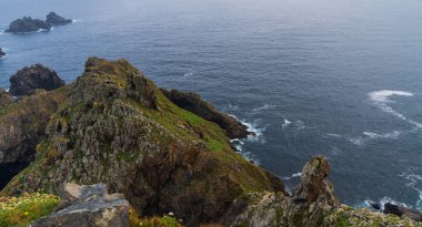 Galiçya, İspanya ve Avrupa sahillerindeki Cabo Ortegal deniz fenerinin yakınındaki Atlantik kıyısına bakın. Çiçekli bahar kıyı bitkileri. Atlantik Okyanusu 'na bakan görkemli kıyı şeridi.