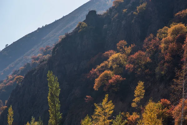 Φθινοπωρινό Τοπίο Ομιχλώδη Βουνά Στο Βάθος Κίτρινα Δέντρα Ζεστά Ηλιόλουστα — Φωτογραφία Αρχείου