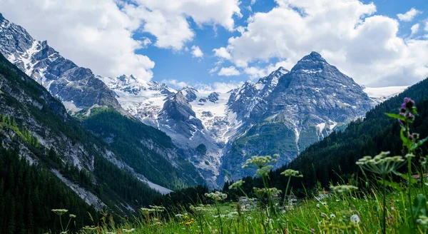 Landschaft Der Alpen Schneebedeckte Berggipfel Und Schöne Wiesen Freiheit Tourismus — Stockfoto