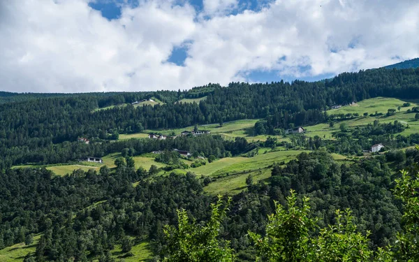 İtalyan Alpleri 'ndeki Sarca Vadisi' nde bahçeler. Trentino Alto Adige, İtalya, Avrupa. Idyllic üzüm bağları, meyve bahçeleri, tarım arazisi.