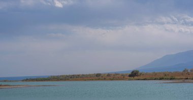 Qinghai Gölü Bankası, Tibet Platosu, Qinghai Eyaleti, Çin.