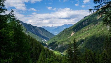 Alpler 'in manzarası. Karla kaplı dağ tepeleri ve güzel çayırlar. Özgürlük, turizm, seyahat. Arka planda beyaz bulutlar ve mavi gökyüzünün zirveleri. Yamaçlarda yeşil tepeler ve sık ormanlar.
