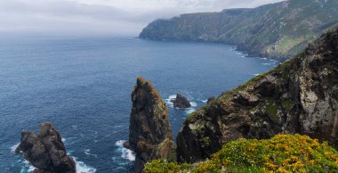 Galiçya, İspanya ve Avrupa sahillerindeki Cabo Ortegal deniz fenerinin yakınındaki Atlantik kıyısına bakın. Çiçekli bahar kıyı bitkileri. Atlantik Okyanusu 'na bakan görkemli kıyı şeridi.