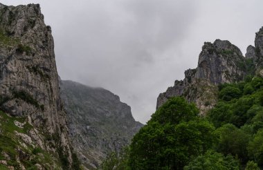 Picos de Europa Ulusal Parkı, Asturias, İspanya 'da muhteşem manzaralar. Baharda dağlarda yağmurlu ve bulutlu bir gün.