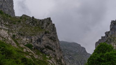 Picos de Europa Ulusal Parkı, Asturias, İspanya 'da muhteşem manzaralar. Baharda dağlarda yağmurlu ve bulutlu bir gün.