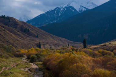 Vadinin güzel manzarası. Bulutlu bir sonbahar günü. Önünde altın ağaçlarla dolu bir vadi ve arkasında beyaz karlı dağlar olan güzel bir manzara..
