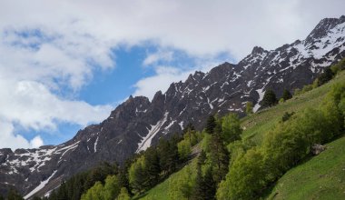 Yaz manzarası, gri dağ zirvesi çatlaklar, yıpranmış taşlar ve güneşli bir günde yeşil orman. Dağlarda inanılmaz bir yürüyüş geçmişi var..