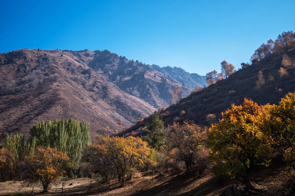 a picturesque autumn landscape with a gradient of fall colors adorning the trees, set against the backdrop of a rugged, mountainous terrain under a clear blue sky.