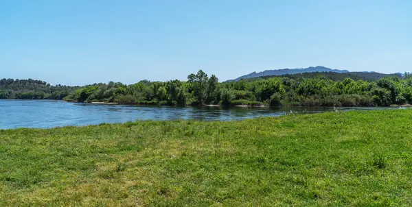 stock image A tranquil riverside scene with lush green grass in the foreground, calm waters and a dense line of trees leading to distant mountains under a clear blue sky.