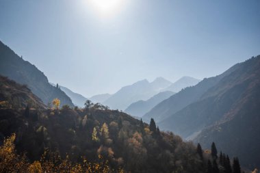 Renkli sonbahar dağlarında sisli bir şafak. Uzaktaki dağlar mavi bir sisle sıralanır.