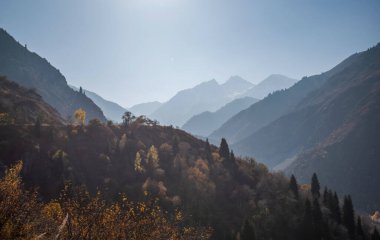 Renkli sonbahar dağlarında sisli bir şafak. Uzaktaki dağlar mavi bir sisle sıralanır.