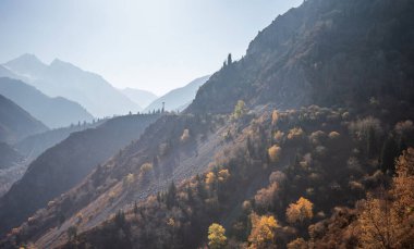Renkli sonbahar dağlarında sisli bir şafak. Uzaktaki dağlar mavi bir sisle sıralanır.